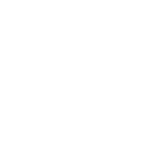 anovenus logo